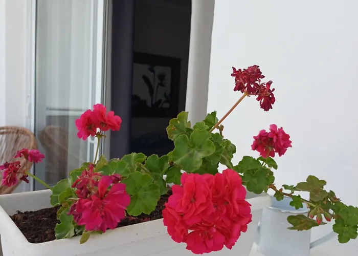 Casa Esterlita * Tarajalejo