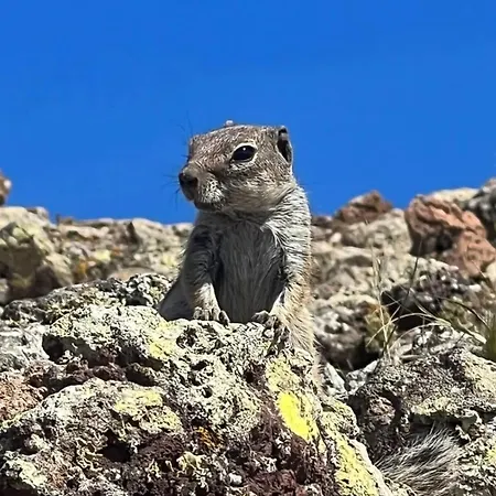 아파트 Casa Esterlita