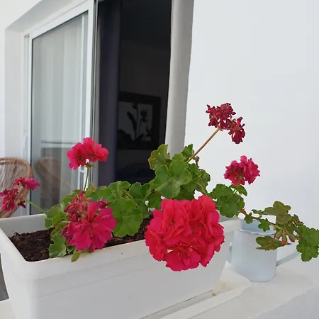 Casa Esterlita * 타라할레호