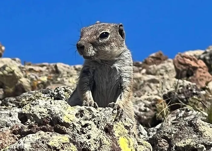 아파트 Casa Esterlita