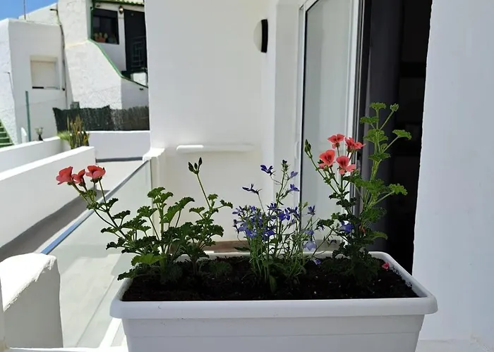 아파트 Casa Esterlita 타라할레호