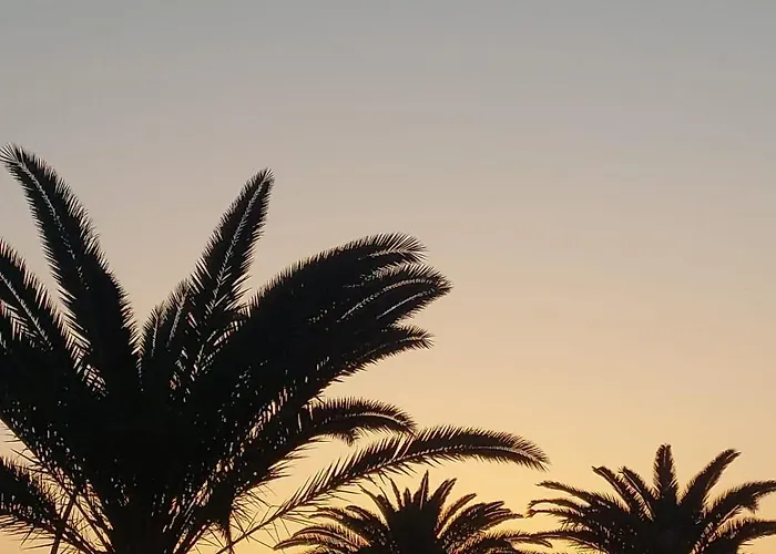 Casa Esterlita * 타라할레호